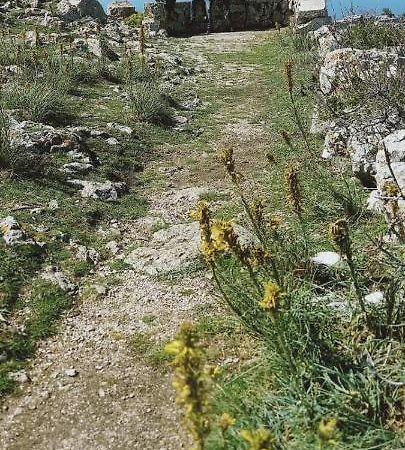 N2 Διαμέρισμα Πούλα Εξωτερικό φωτογραφία