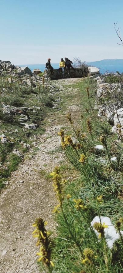N2 Διαμέρισμα Πούλα Εξωτερικό φωτογραφία
